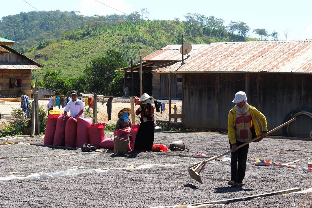 [Full] - Nhật ký hành trình Trekking Tà Năng - Phan Dũng