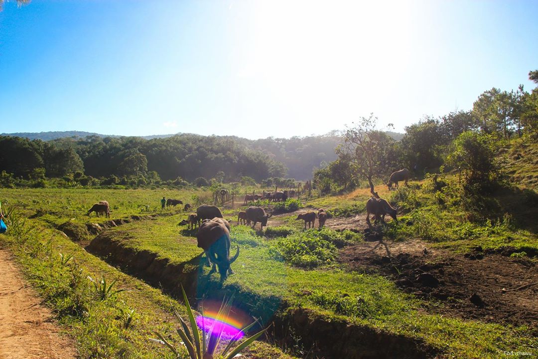 [Full] - Nhật ký hành trình Trekking Tà Năng - Phan Dũng