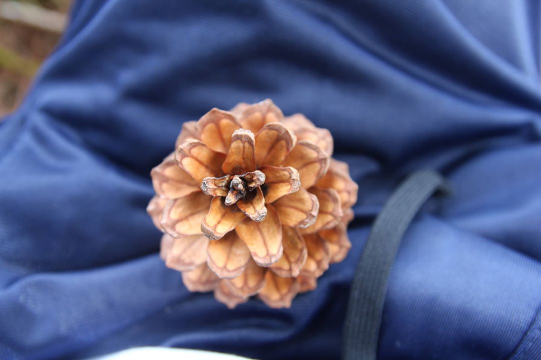 [Full] - Nhật ký hành trình Trekking Tà Năng - Phan Dũng